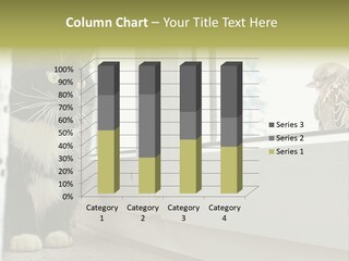 Three Expression Hypnosis PowerPoint Template