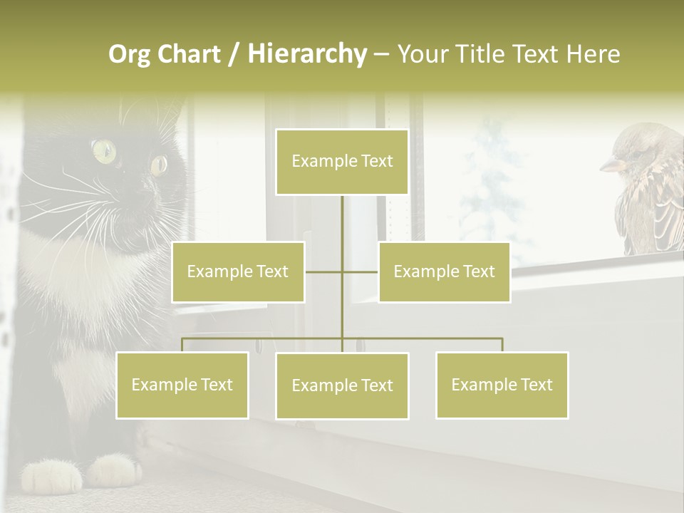 Three Expression Hypnosis PowerPoint Template