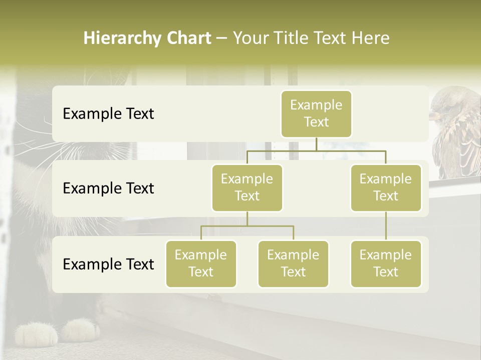 Three Expression Hypnosis PowerPoint Template