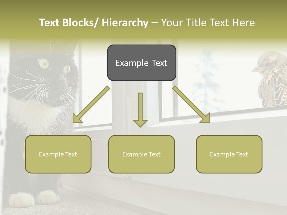 Three Expression Hypnosis PowerPoint Template