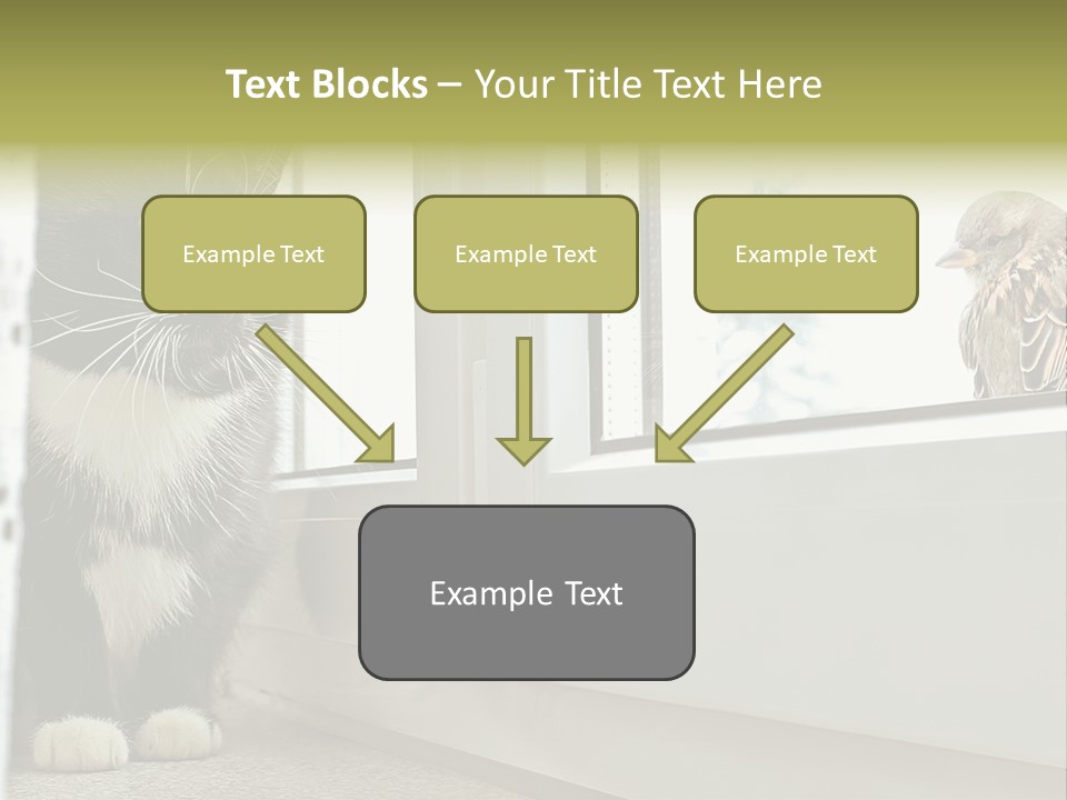 Three Expression Hypnosis PowerPoint Template