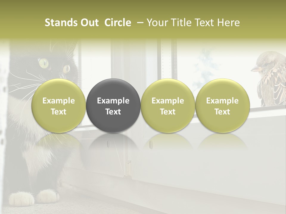 Three Expression Hypnosis PowerPoint Template