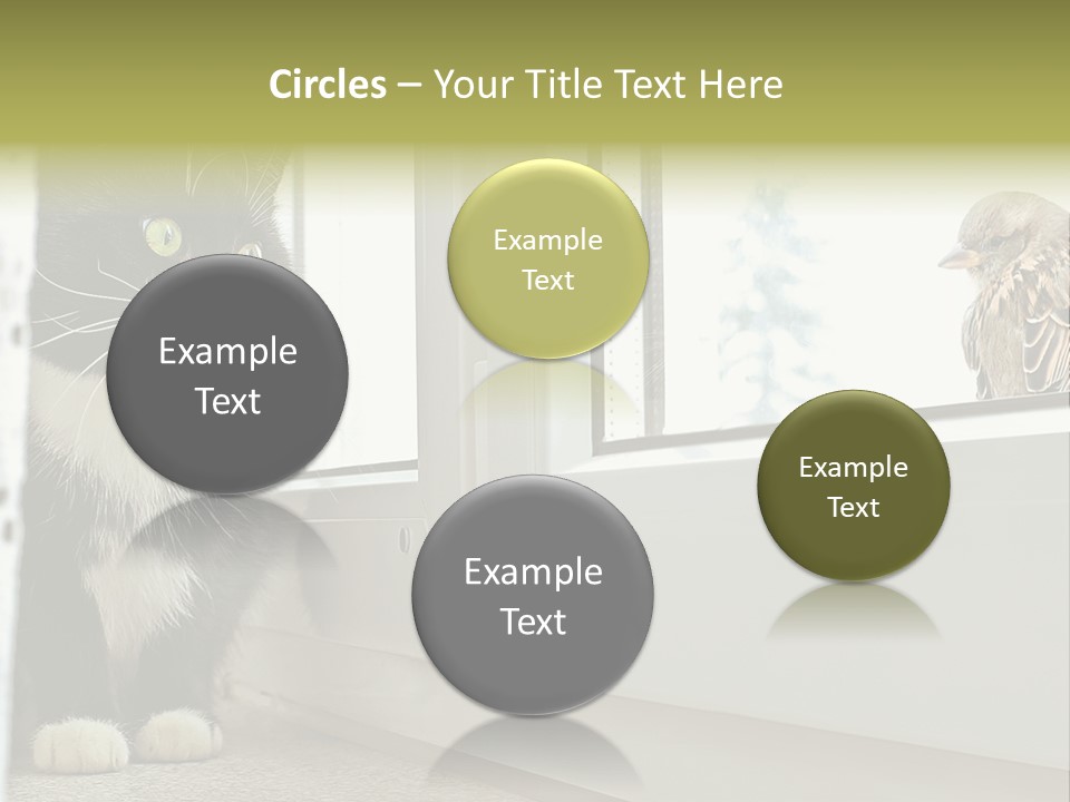 Three Expression Hypnosis PowerPoint Template