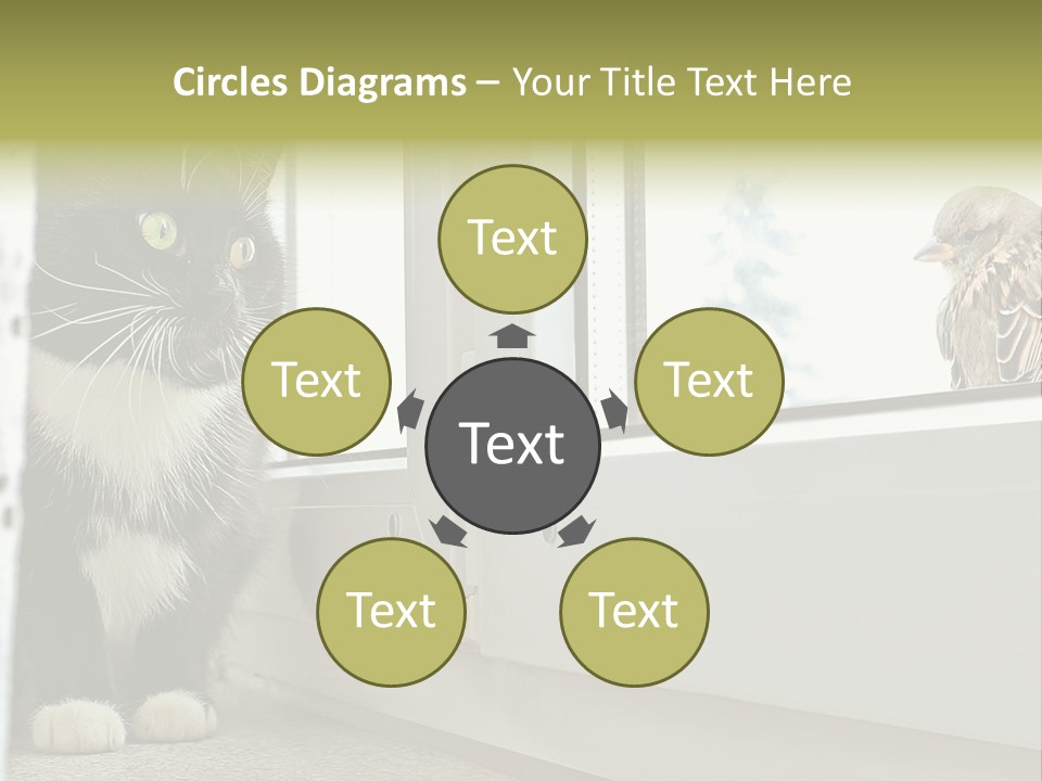 Three Expression Hypnosis PowerPoint Template