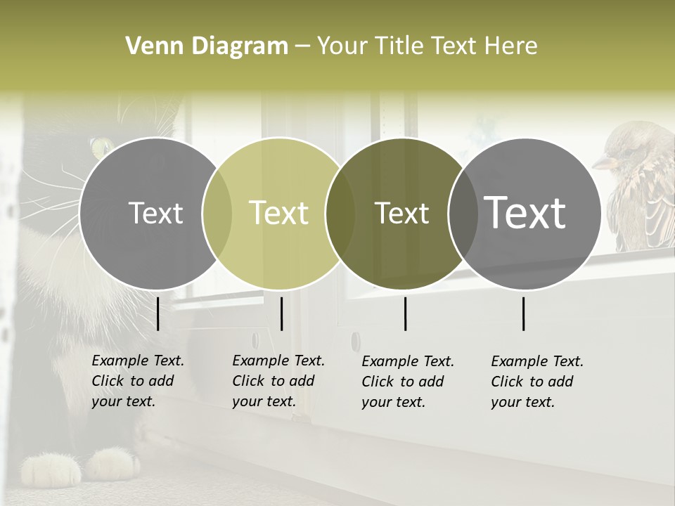 Three Expression Hypnosis PowerPoint Template