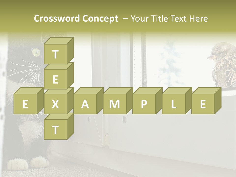Three Expression Hypnosis PowerPoint Template