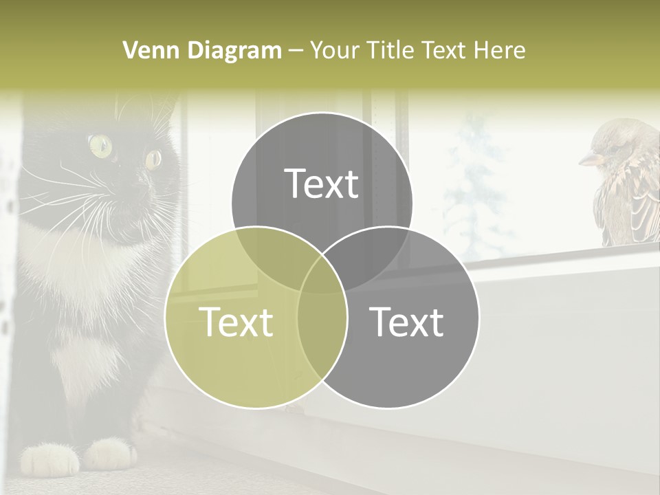 Three Expression Hypnosis PowerPoint Template