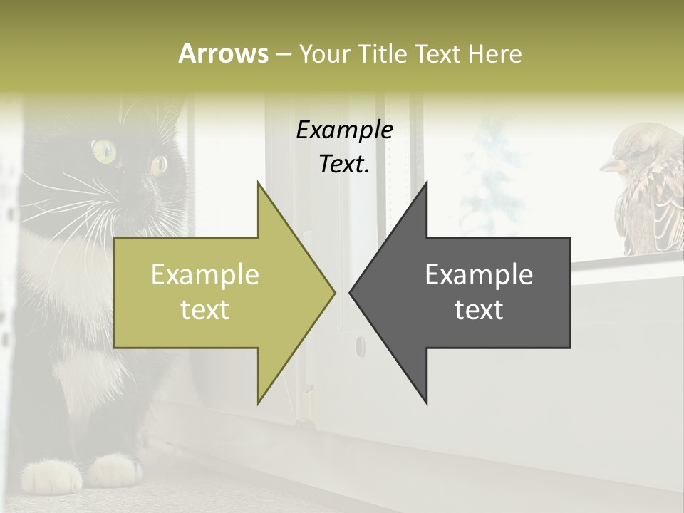 Three Expression Hypnosis PowerPoint Template