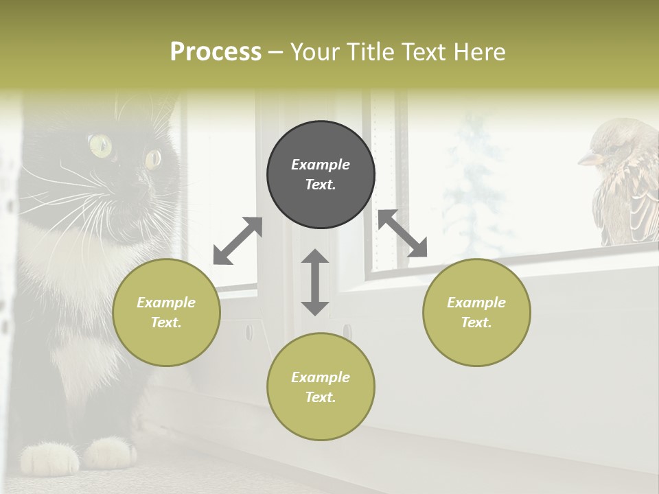 Three Expression Hypnosis PowerPoint Template
