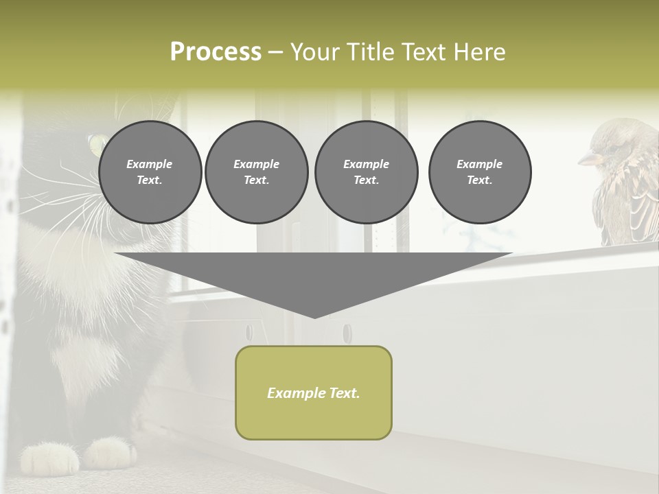Three Expression Hypnosis PowerPoint Template