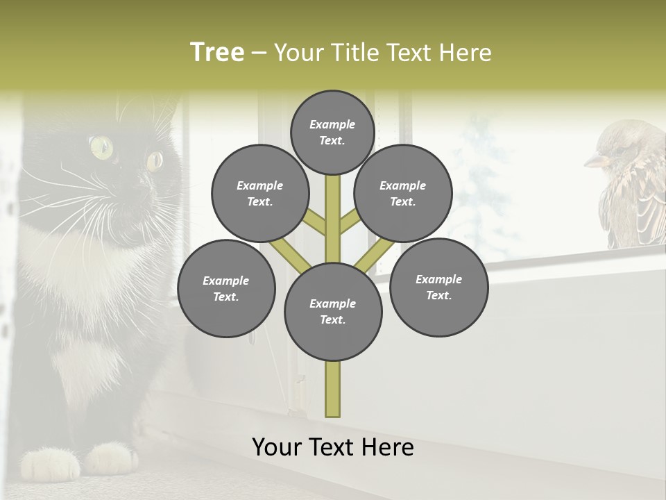 Three Expression Hypnosis PowerPoint Template