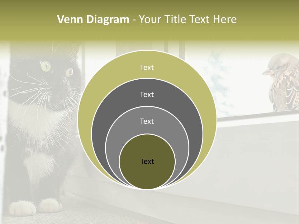 Three Expression Hypnosis PowerPoint Template