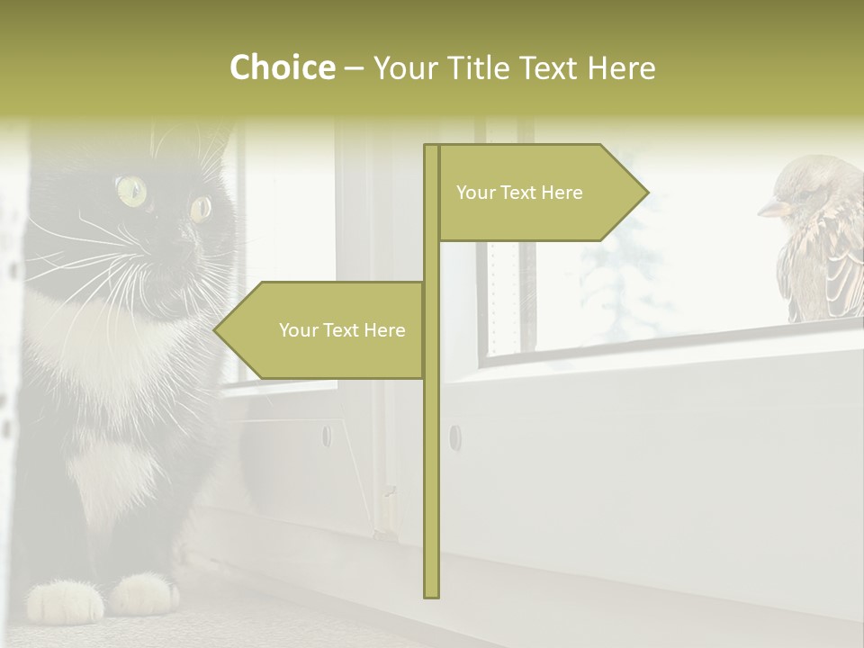 Three Expression Hypnosis PowerPoint Template