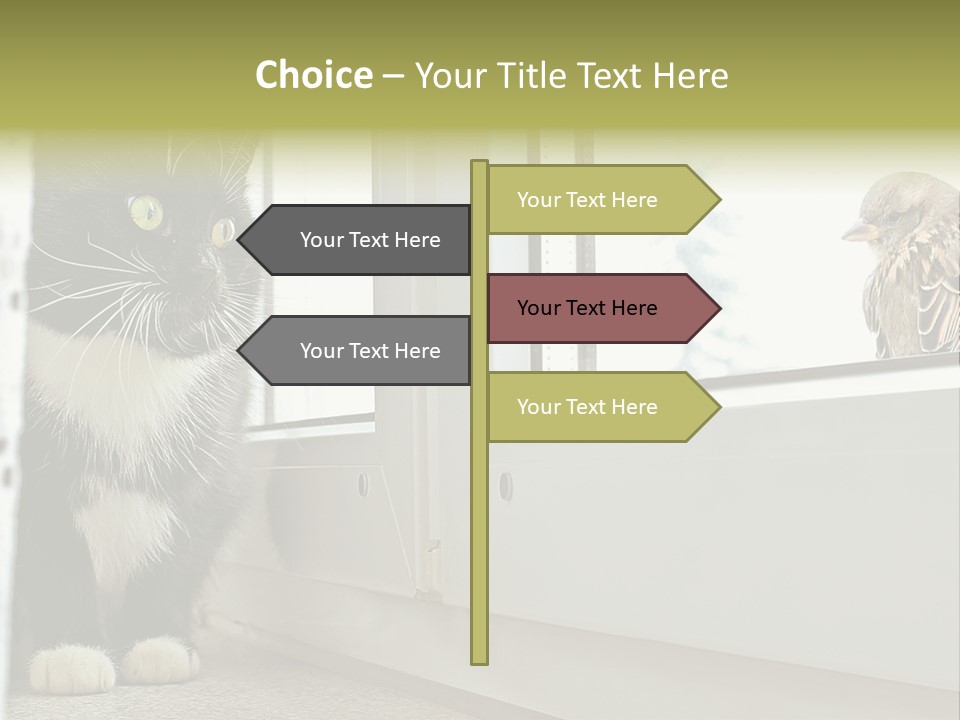 Three Expression Hypnosis PowerPoint Template