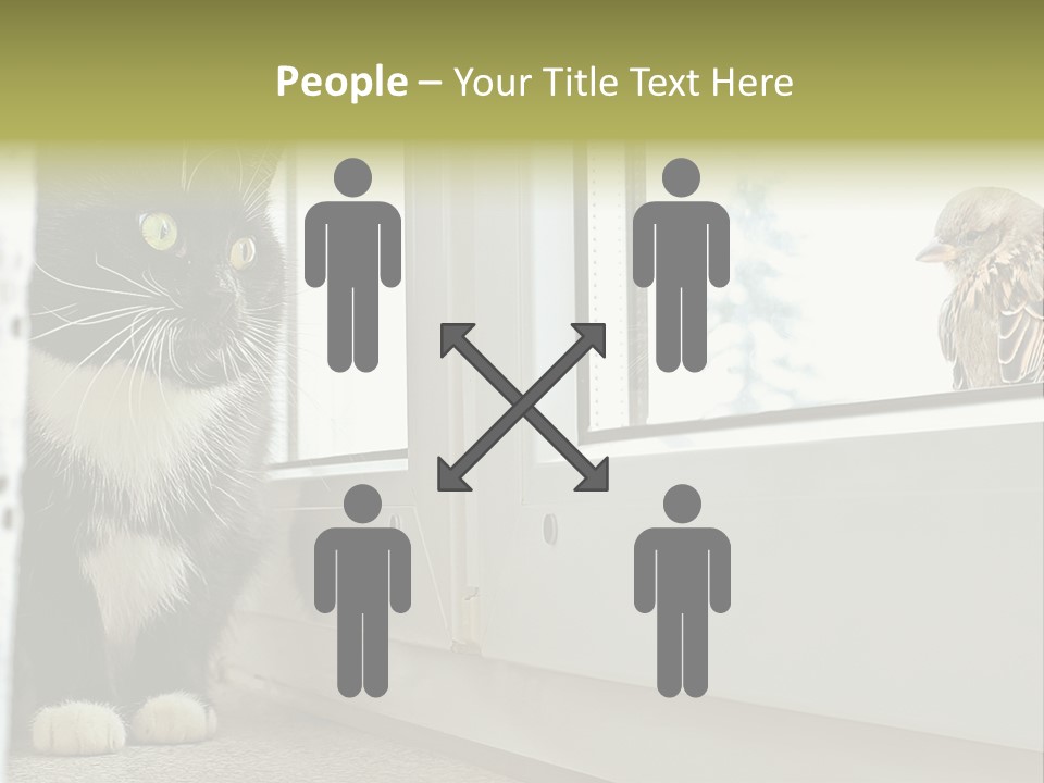 Three Expression Hypnosis PowerPoint Template