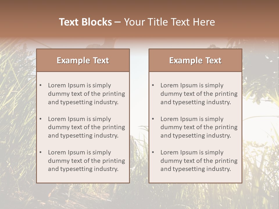 A Couple Of People That Are Walking In The Grass PowerPoint Template