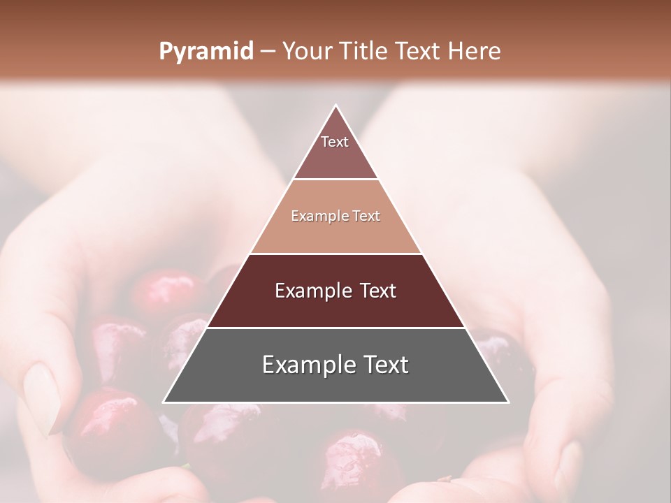 A Person Holding A Bunch Of Cherries In Their Hands PowerPoint Template