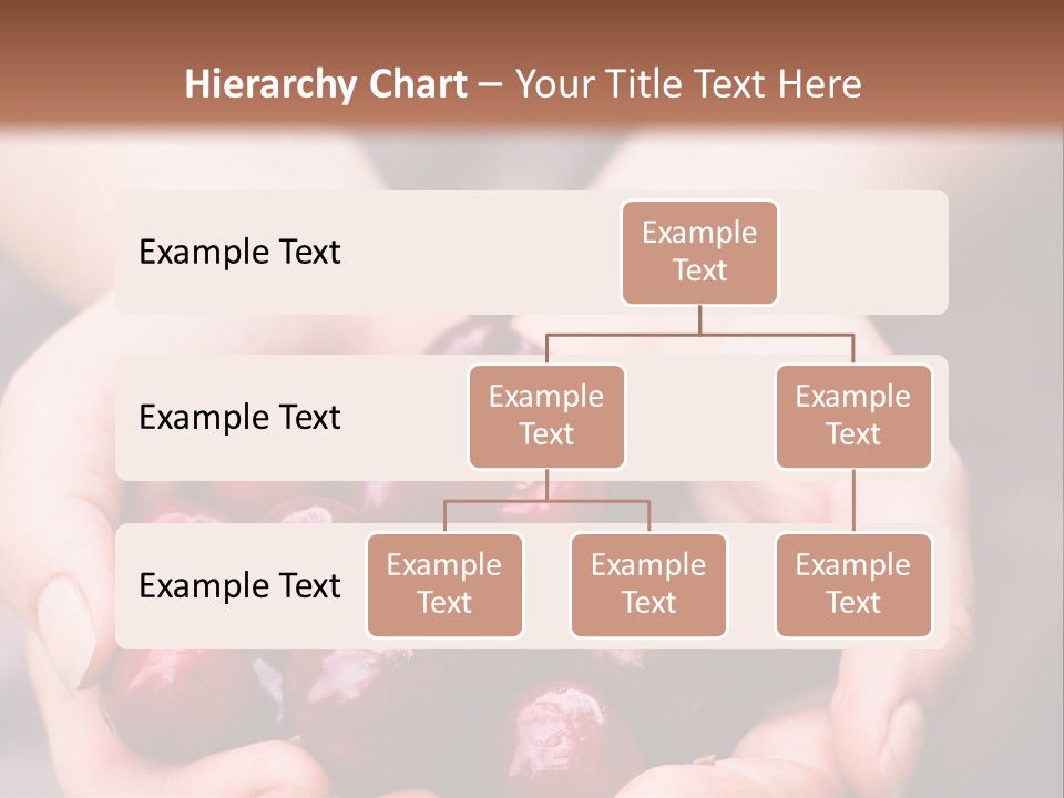 A Person Holding A Bunch Of Cherries In Their Hands PowerPoint Template