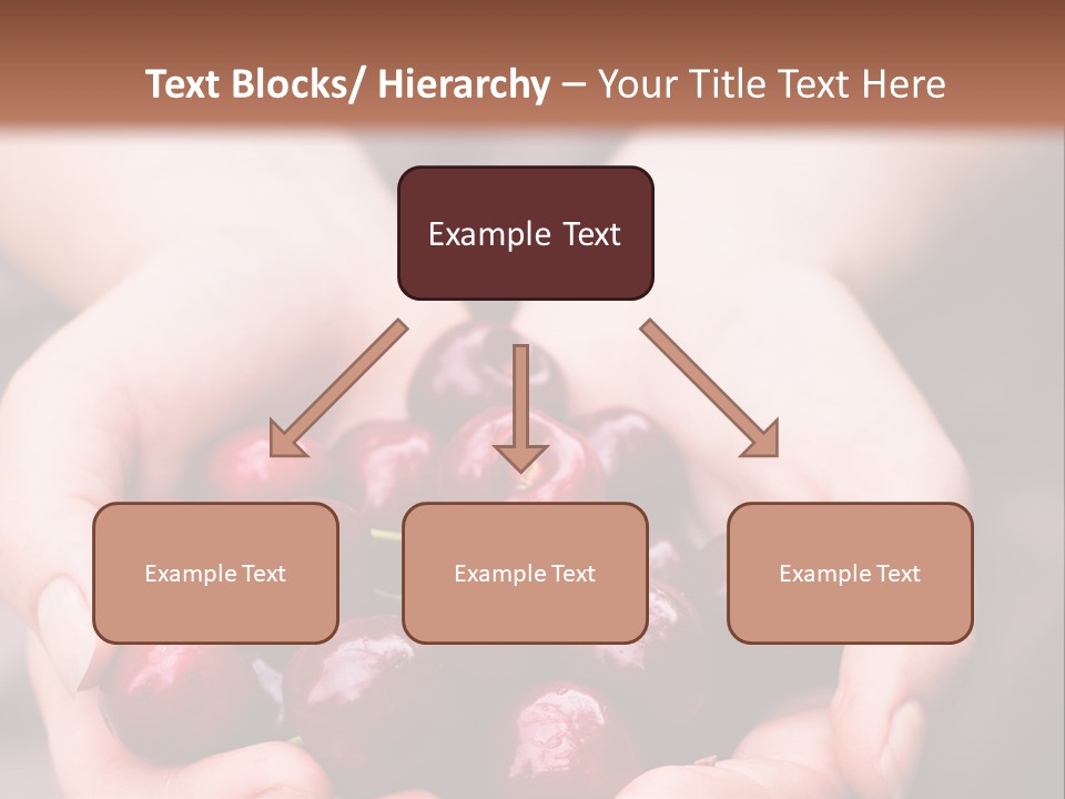 A Person Holding A Bunch Of Cherries In Their Hands PowerPoint Template