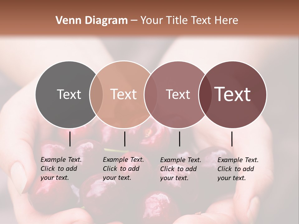 A Person Holding A Bunch Of Cherries In Their Hands PowerPoint Template