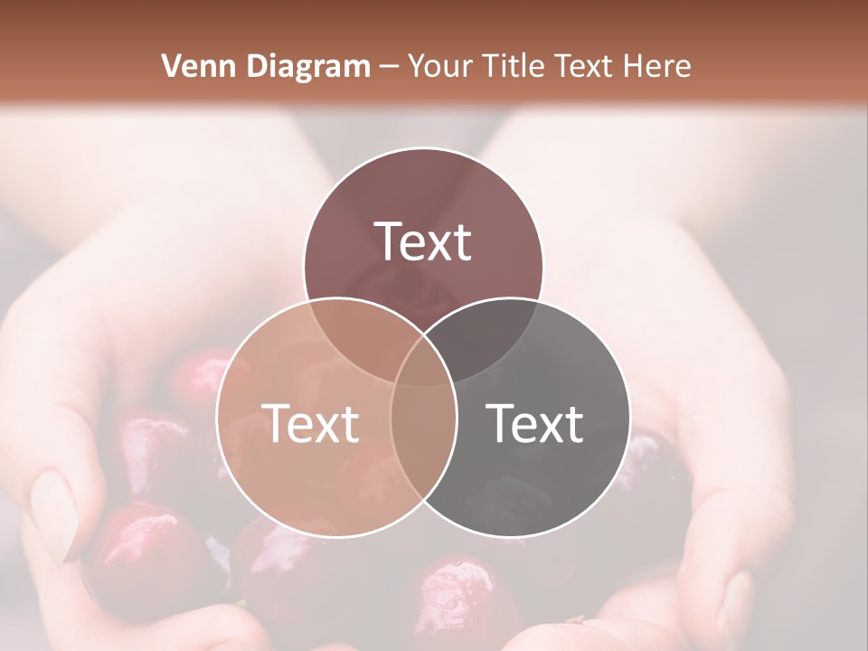 A Person Holding A Bunch Of Cherries In Their Hands PowerPoint Template