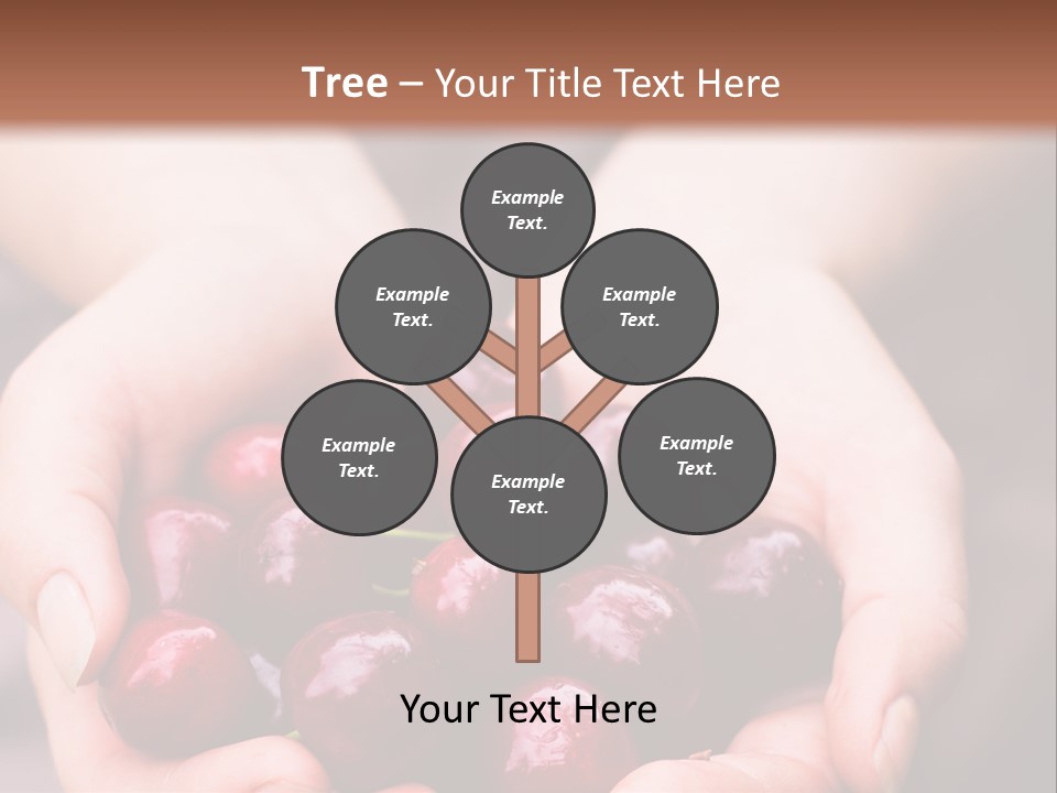 A Person Holding A Bunch Of Cherries In Their Hands PowerPoint Template