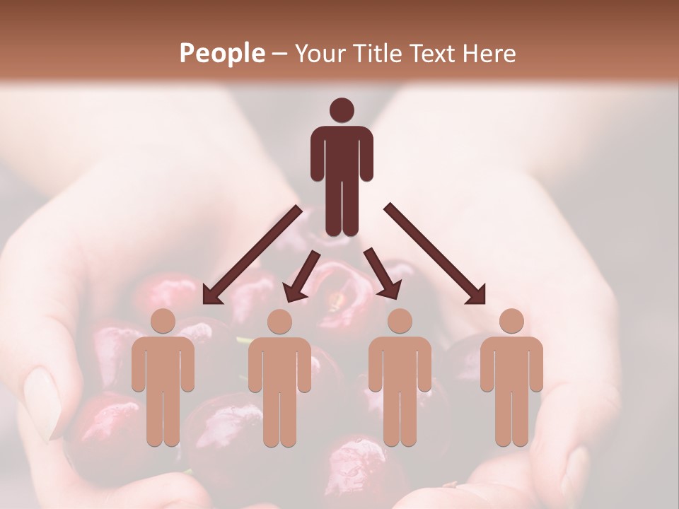 A Person Holding A Bunch Of Cherries In Their Hands PowerPoint Template