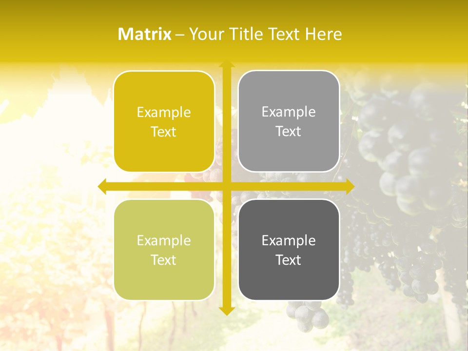 Agriculture Nature Fruits PowerPoint Template