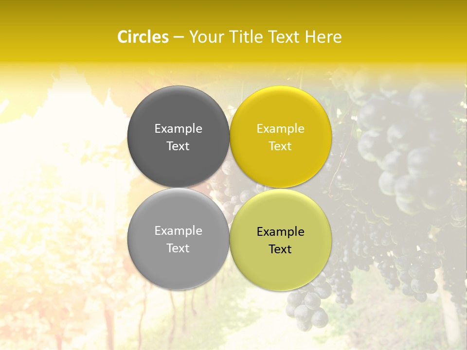 Agriculture Nature Fruits PowerPoint Template