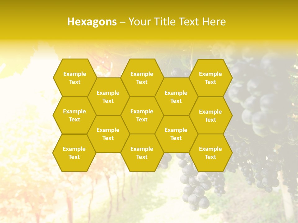 Agriculture Nature Fruits PowerPoint Template