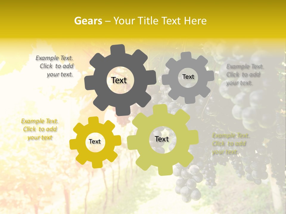 Agriculture Nature Fruits PowerPoint Template