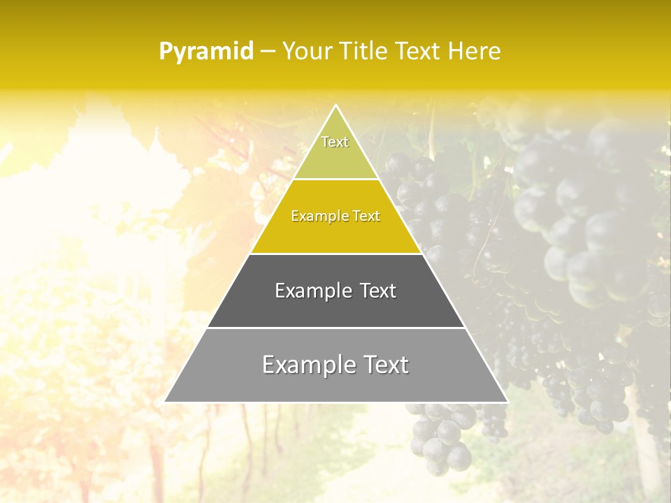 Agriculture Nature Fruits PowerPoint Template