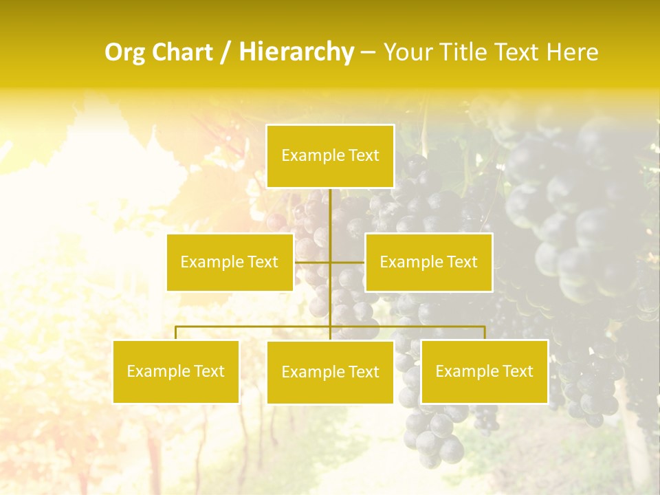 Agriculture Nature Fruits PowerPoint Template