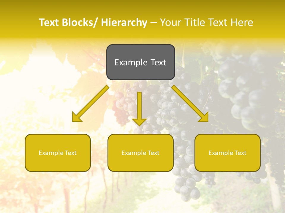 Agriculture Nature Fruits PowerPoint Template
