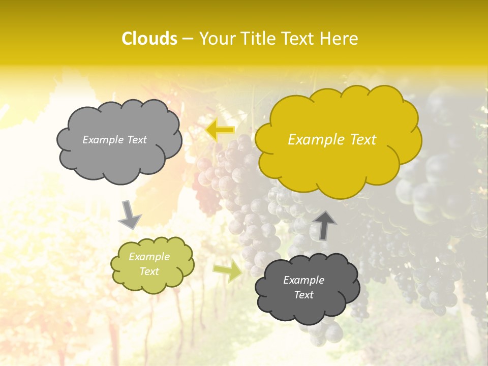 Agriculture Nature Fruits PowerPoint Template