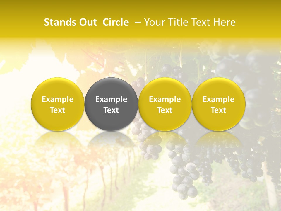 Agriculture Nature Fruits PowerPoint Template