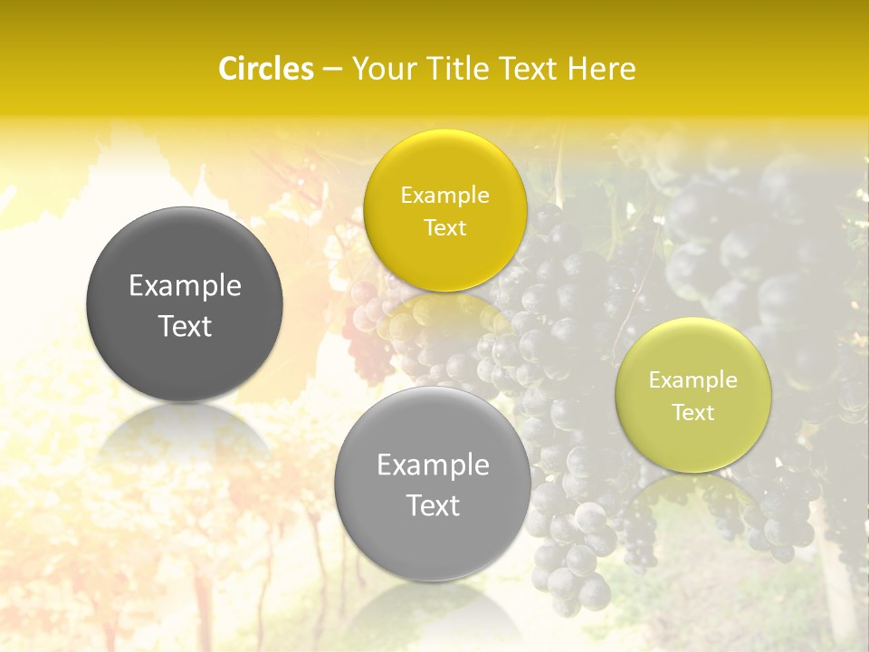 Agriculture Nature Fruits PowerPoint Template