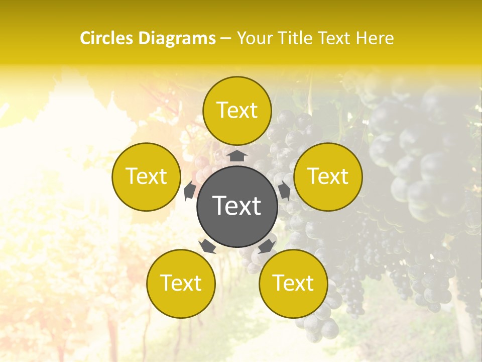 Agriculture Nature Fruits PowerPoint Template