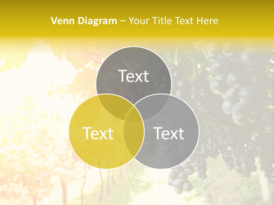 Agriculture Nature Fruits PowerPoint Template