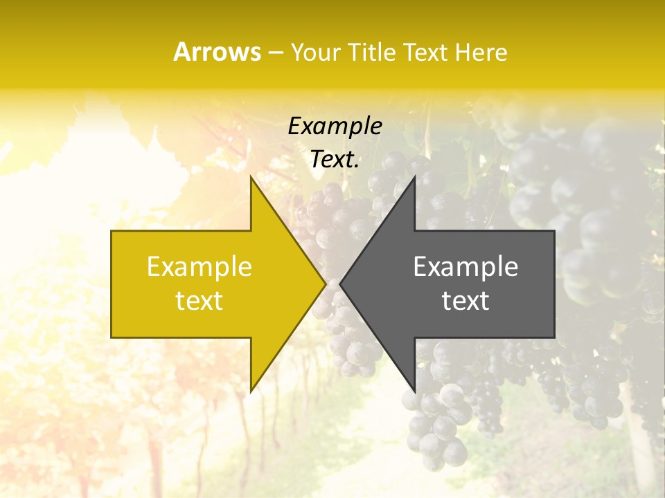 Agriculture Nature Fruits PowerPoint Template