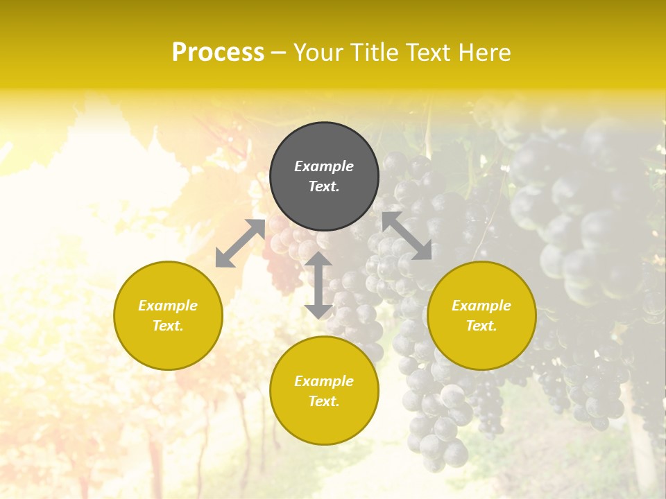 Agriculture Nature Fruits PowerPoint Template