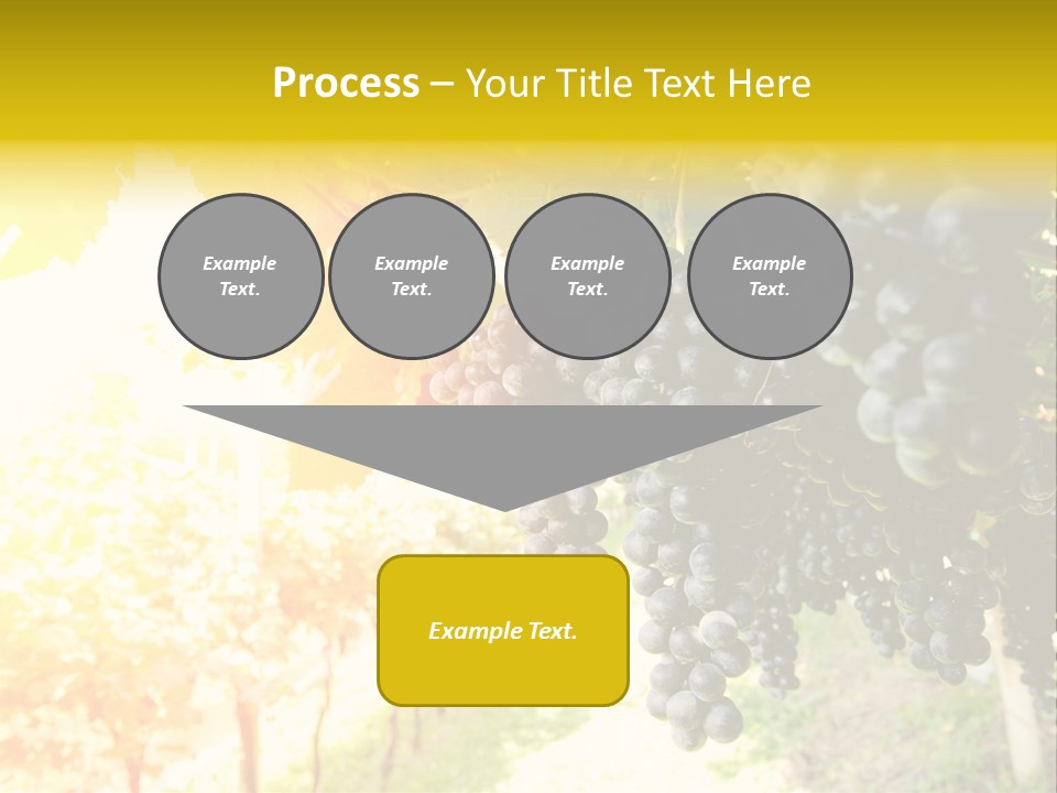 Agriculture Nature Fruits PowerPoint Template