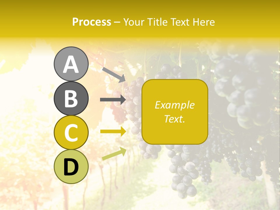 Agriculture Nature Fruits PowerPoint Template