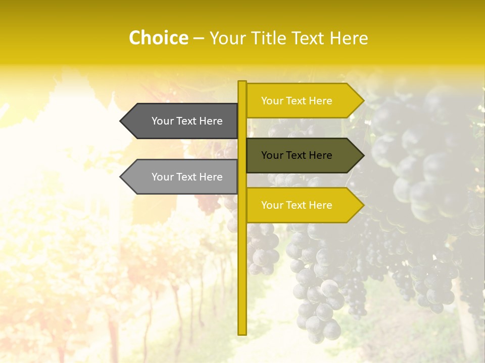 Agriculture Nature Fruits PowerPoint Template