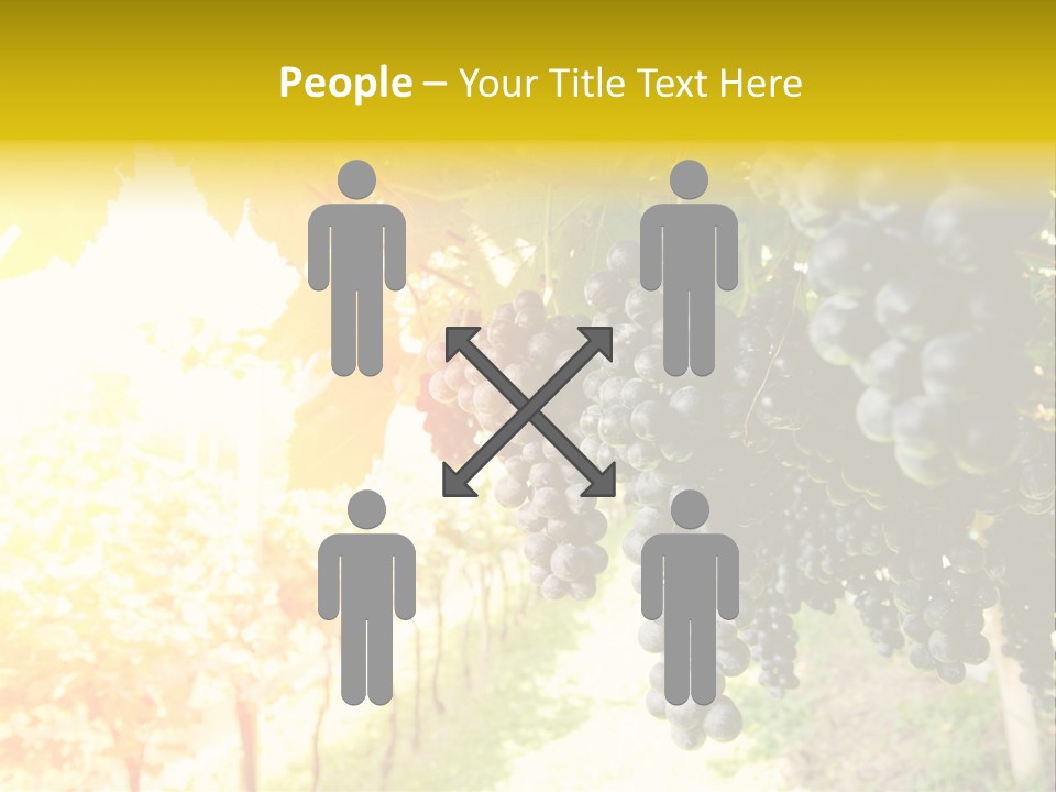 Agriculture Nature Fruits PowerPoint Template