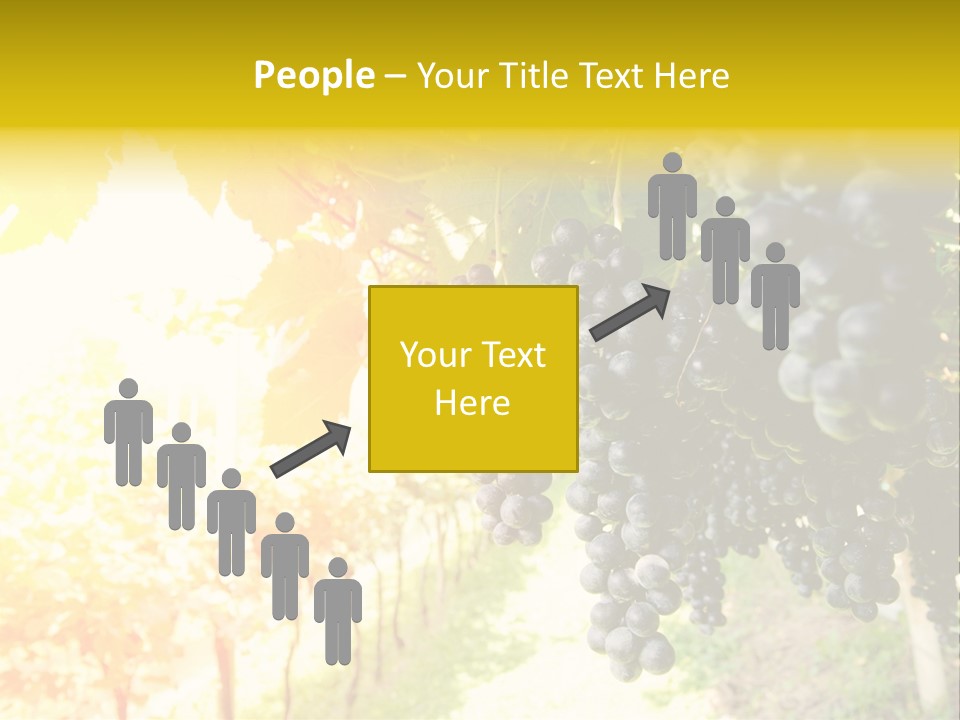 Agriculture Nature Fruits PowerPoint Template