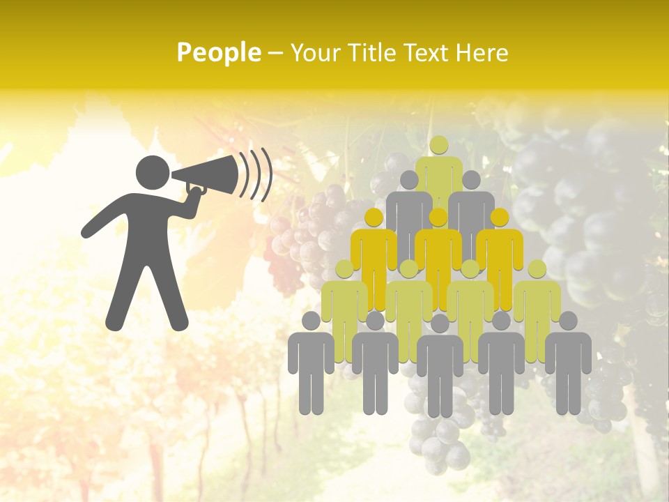 Agriculture Nature Fruits PowerPoint Template