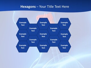 Breath Ligament Cricothyroid PowerPoint Template
