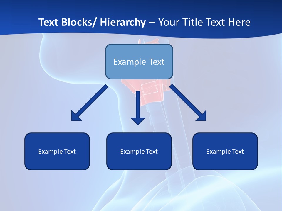 Breath Ligament Cricothyroid PowerPoint Template