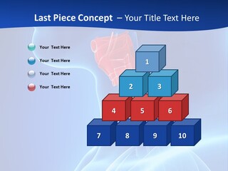 Breath Ligament Cricothyroid PowerPoint Template